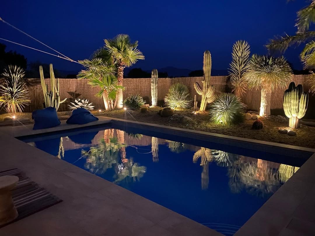 Jardin de cactus avec piscine