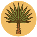 Icône Yuccas